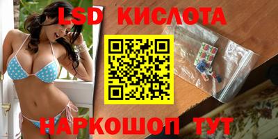 эйфоретик Можга
