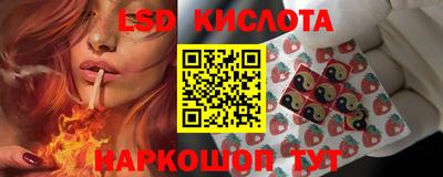 эйфоретик Можга