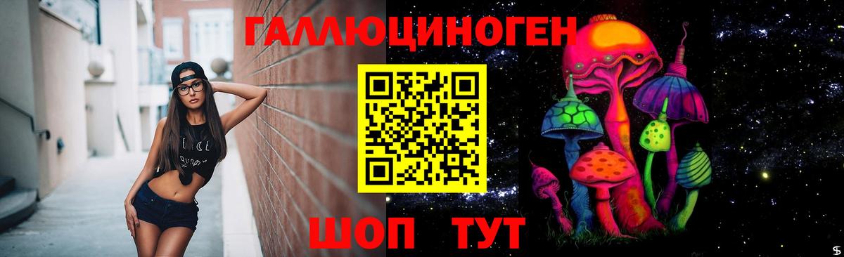 Галлюциногенные грибы прущие грибы Бор